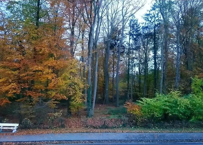 Blaetterwald Hohwacht