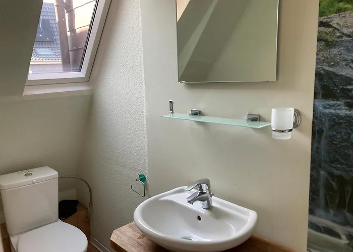 Blaetterwald Hohwacht